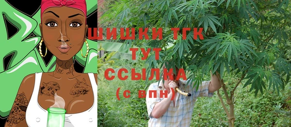сатива Краснослободск