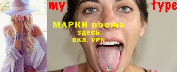 сатива Краснослободск