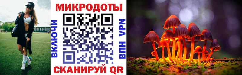 Купить где  Всеволожск  Псилоцибиновые грибы Psilocybine cubensis 
